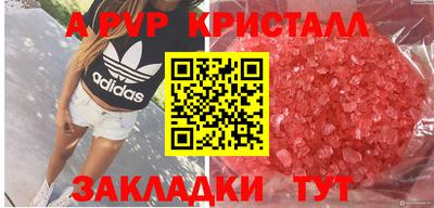 эйфоретик Донской