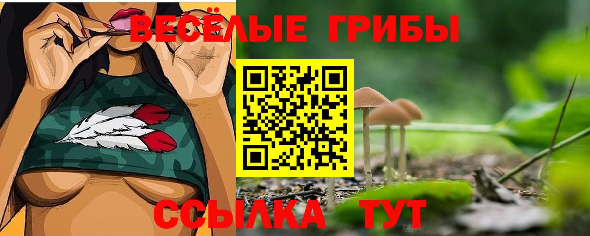 Галлюциногенные грибы Cubensis  Вход с VPN  Дятьково 
